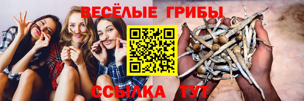 Псилоцибиновые грибы Magic Shrooms Пушкино